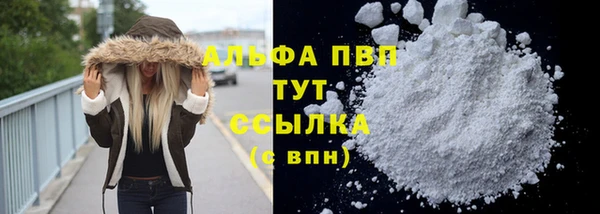 гашик Богородицк