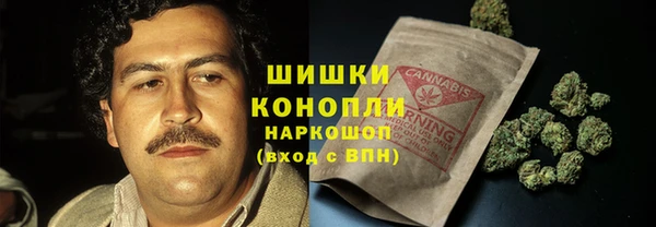 ПСИЛОЦИБИНОВЫЕ ГРИБЫ Белокуриха