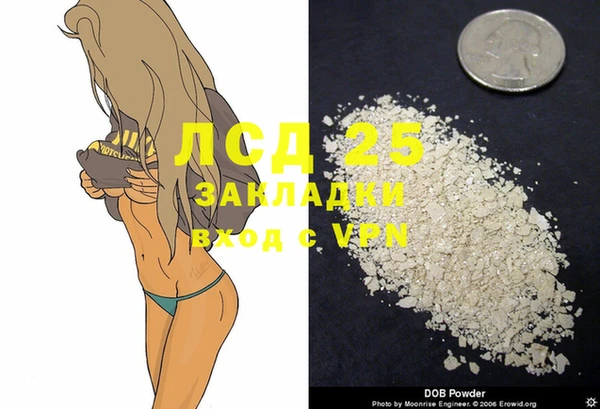 гашик Богородицк