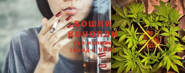 гашик Богородицк