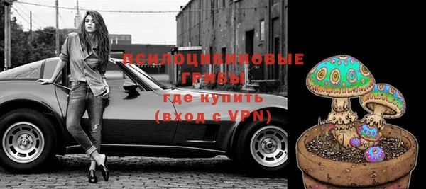 гашик Богородицк