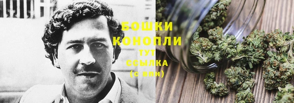 эйфоретик Болотное