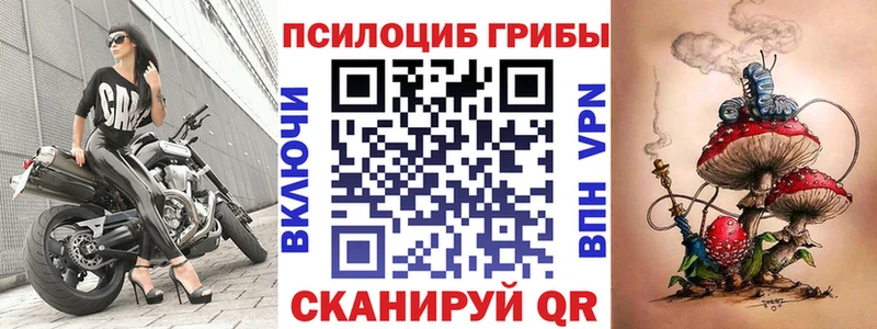 omg онион  Богородицк  Галлюциногенные грибы GOLDEN TEACHER 