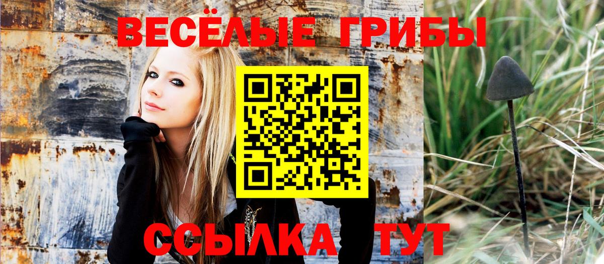Псилоцибиновые грибы Cubensis Богородицк