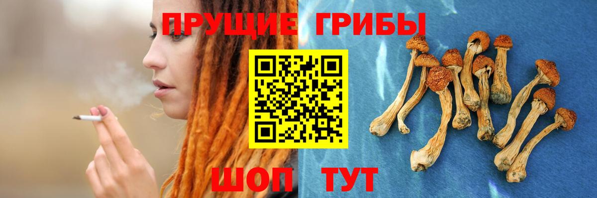Галлюциногенные грибы прущие грибы  Вход с VPN  Богородицк 